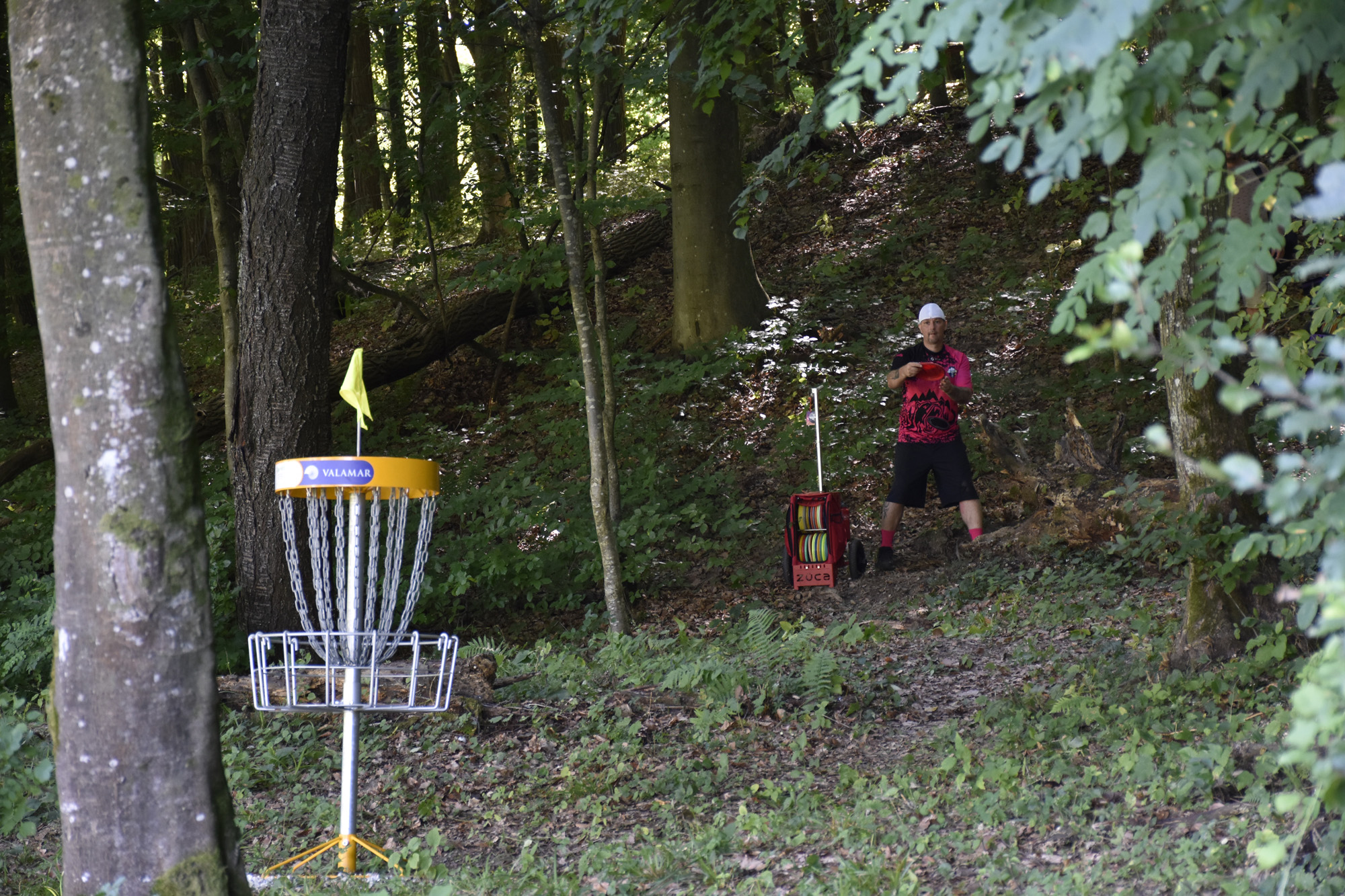 Disc golf